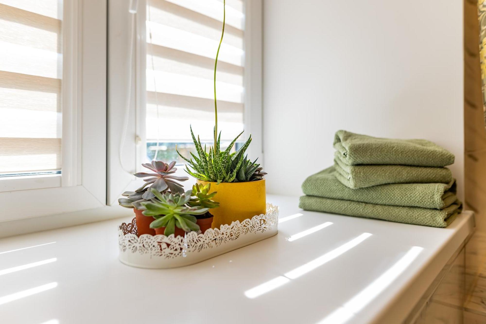 Raugyklos Apartamentai VNO Kültér fotó